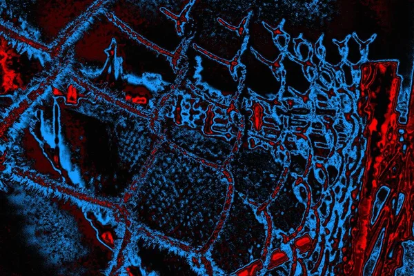 Karla kaplı kafes çiti. Kış zamanı. Şiddetli kar yağışıweather condition.