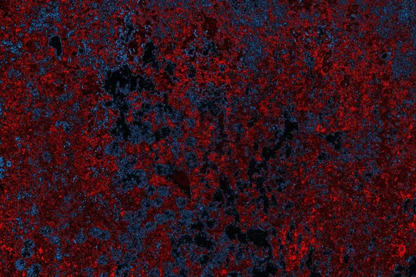 Boşluk duvar kağıdını, grunge arkaplanını, soyut renkli doku arkaplanını kopyala