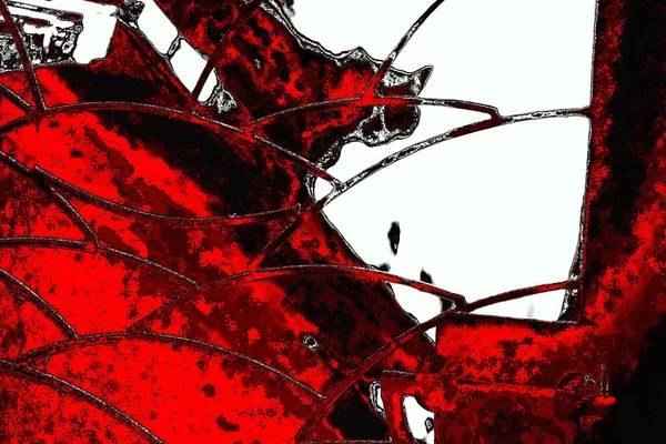 yaratıcı ve tasarım sanatı, kopyalama alanı duvar kağıdı, soyut renkli doku arkaplanı