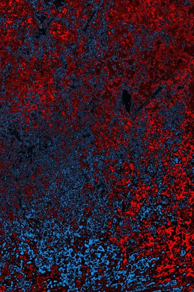 Boşluk duvar kağıdını, grunge arkaplanını, soyut renkli doku arkaplanını kopyala