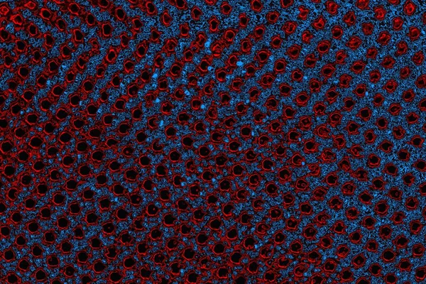 Boşluk duvar kağıdını, grunge arkaplanını, soyut renkli doku arkaplanını kopyala