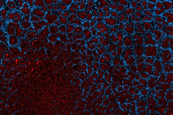 Boşluk duvar kağıdını, grunge arkaplanını, soyut renkli doku arkaplanını kopyala