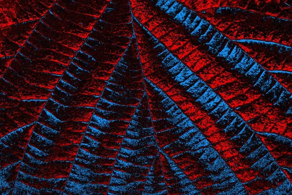 Boşluk duvar kağıdını, grunge arkaplanını, soyut renkli doku arkaplanını kopyala