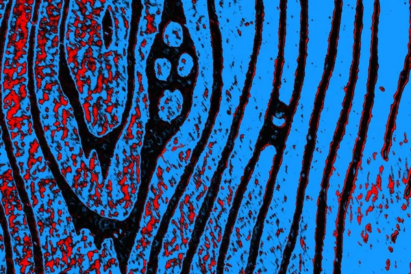  grunge arkaplanı, boşluk duvar kağıdını kopyala, soyut renkli doku arkaplanı