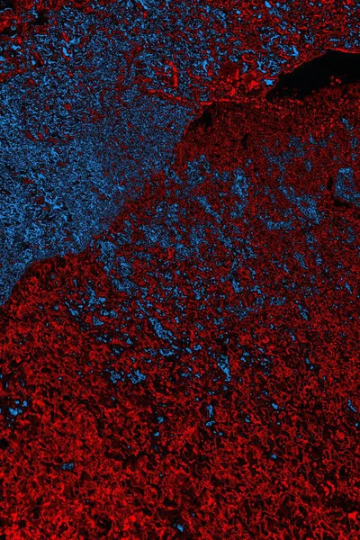 Boşluk duvar kağıdını, grunge arkaplanını, soyut renkli doku arkaplanını kopyala