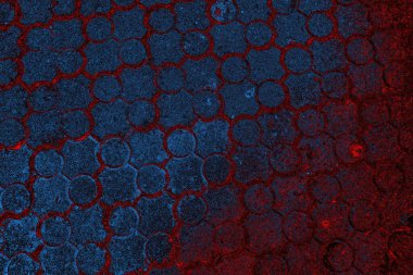 Boşluk duvar kağıdını, grunge arkaplanını, soyut renkli doku arkaplanını kopyala