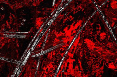  grunge arkaplanı, boşluk duvar kağıdını kopyala, soyut renkli doku arkaplanı