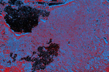  grunge arkaplanı, boşluk duvar kağıdını kopyala, soyut renkli doku arkaplanı