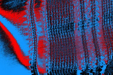 Boşluk duvar kağıdını, grunge arkaplanını, soyut renkli doku arkaplanını kopyala