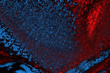 Boşluk duvar kağıdını, grunge arkaplanını, soyut renkli doku arkaplanını kopyala