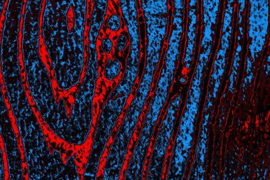 Boşluk duvar kağıdını, grunge arkaplanını, soyut renkli doku arkaplanını kopyala