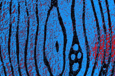  grunge arkaplanı, boşluk duvar kağıdını kopyala, soyut renkli doku arkaplanı