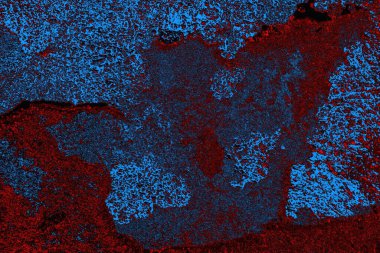 Boşluk duvar kağıdını, grunge arkaplanını, soyut renkli doku arkaplanını kopyala