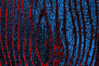 Boşluk duvar kağıdını, grunge arkaplanını, soyut renkli doku arkaplanını kopyala