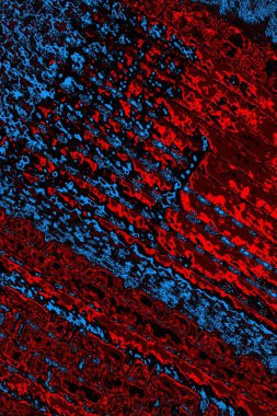 Boşluk duvar kağıdını, grunge arkaplanını, soyut renkli doku arkaplanını kopyala