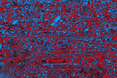  grunge arkaplanı, boşluk duvar kağıdını kopyala, soyut renkli doku arkaplanı