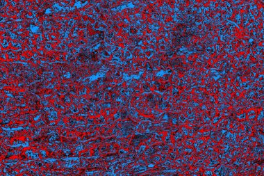  grunge arkaplanı, boşluk duvar kağıdını kopyala, soyut renkli doku arkaplanı