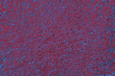  grunge arkaplanı, boşluk duvar kağıdını kopyala, soyut renkli doku arkaplanı