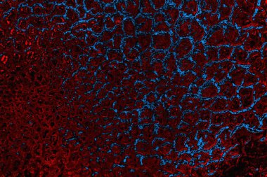 Boşluk duvar kağıdını, grunge arkaplanını, soyut renkli doku arkaplanını kopyala