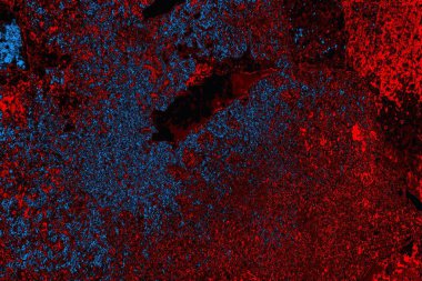 Boşluk duvar kağıdını, grunge arkaplanını, soyut renkli doku arkaplanını kopyala