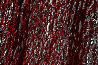 yaratıcı ve tasarım sanatı, kopyalama alanı duvar kağıdı, soyut renkli doku arkaplanı