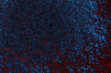 Boşluk duvar kağıdını, grunge arkaplanını, soyut renkli doku arkaplanını kopyala