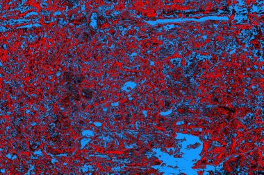  grunge arkaplanı, boşluk duvar kağıdını kopyala, soyut renkli doku arkaplanı