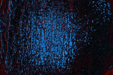 Boşluk duvar kağıdını, grunge arkaplanını, soyut renkli doku arkaplanını kopyala