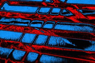 Boşluk duvar kağıdını, grunge arkaplanını, soyut renkli doku arkaplanını kopyala