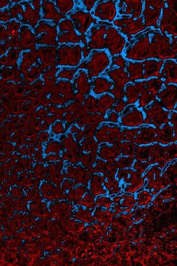 Boşluk duvar kağıdını, grunge arkaplanını, soyut renkli doku arkaplanını kopyala
