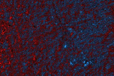 Boşluk duvar kağıdını, grunge arkaplanını, soyut renkli doku arkaplanını kopyala