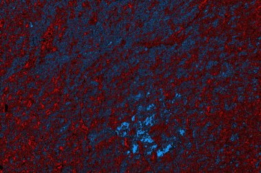 Boşluk duvar kağıdını, grunge arkaplanını, soyut renkli doku arkaplanını kopyala