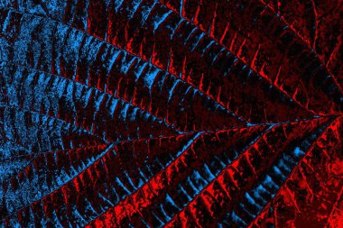 Boşluk duvar kağıdını, grunge arkaplanını, soyut renkli doku arkaplanını kopyala