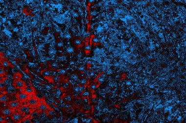 Boşluk duvar kağıdını, grunge arkaplanını, soyut renkli doku arkaplanını kopyala