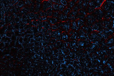 Boşluk duvar kağıdını, grunge arkaplanını, soyut renkli doku arkaplanını kopyala