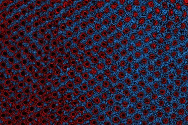 Boşluk duvar kağıdını, grunge arkaplanını, soyut renkli doku arkaplanını kopyala