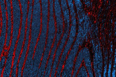 Boşluk duvar kağıdını, grunge arkaplanını, soyut renkli doku arkaplanını kopyala