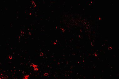  grunge arkaplanı, boşluk duvar kağıdını kopyala, soyut renkli doku arkaplanı