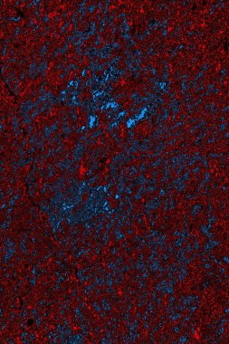 Boşluk duvar kağıdını, grunge arkaplanını, soyut renkli doku arkaplanını kopyala