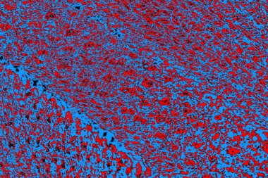  grunge arkaplanı, boşluk duvar kağıdını kopyala, soyut renkli doku arkaplanı