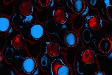 Boşluk duvar kağıdını, grunge arkaplanını, soyut renkli doku arkaplanını kopyala