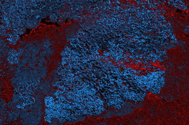 Boşluk duvar kağıdını, grunge arkaplanını, soyut renkli doku arkaplanını kopyala