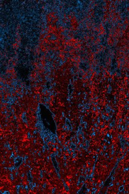 Boşluk duvar kağıdını, grunge arkaplanını, soyut renkli doku arkaplanını kopyala