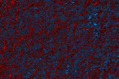 Boşluk duvar kağıdını, grunge arkaplanını, soyut renkli doku arkaplanını kopyala