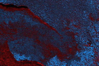 Boşluk duvar kağıdını, grunge arkaplanını, soyut renkli doku arkaplanını kopyala