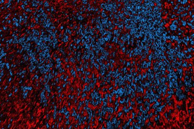 Boşluk duvar kağıdını, grunge arkaplanını, soyut renkli doku arkaplanını kopyala