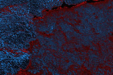 Boşluk duvar kağıdını, grunge arkaplanını, soyut renkli doku arkaplanını kopyala