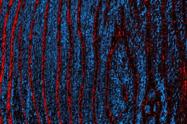 Boşluk duvar kağıdını, grunge arkaplanını, soyut renkli doku arkaplanını kopyala