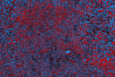  grunge arkaplanı, boşluk duvar kağıdını kopyala, soyut renkli doku arkaplanı