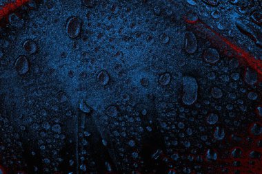  grunge arkaplanı, boşluk duvar kağıdını kopyala, soyut renkli doku arkaplanı